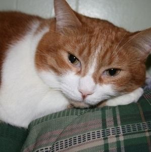 Meet your Posher, Eydie